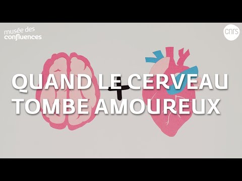 Quand le cerveau tombe amoureux