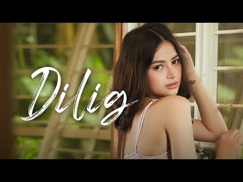Трейлеры Dilig