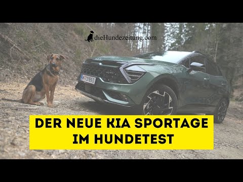 Der neue KIA SPORTAGE  im Hundetest ⎮DieHundezeitung