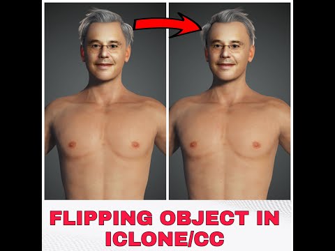 Smartest and Fastest Way To Flip/Mirror Object In Iclone/CC Without Third Party Software