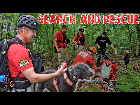Wilderness Search and Rescue Dogs - A Day in the Life