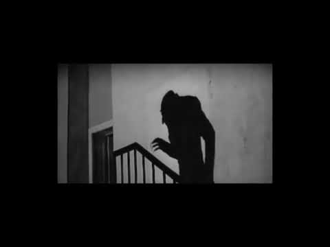 werter x petaxe - karnawał straszydeł (video)