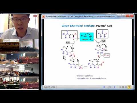 CCHF VS 8.2 - Prof. Guangbin Dong | C–H and C–C Functionalization of Ketones