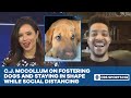 CJ McCollum using time away from NBA to give pups a home | CBS Sports HQ