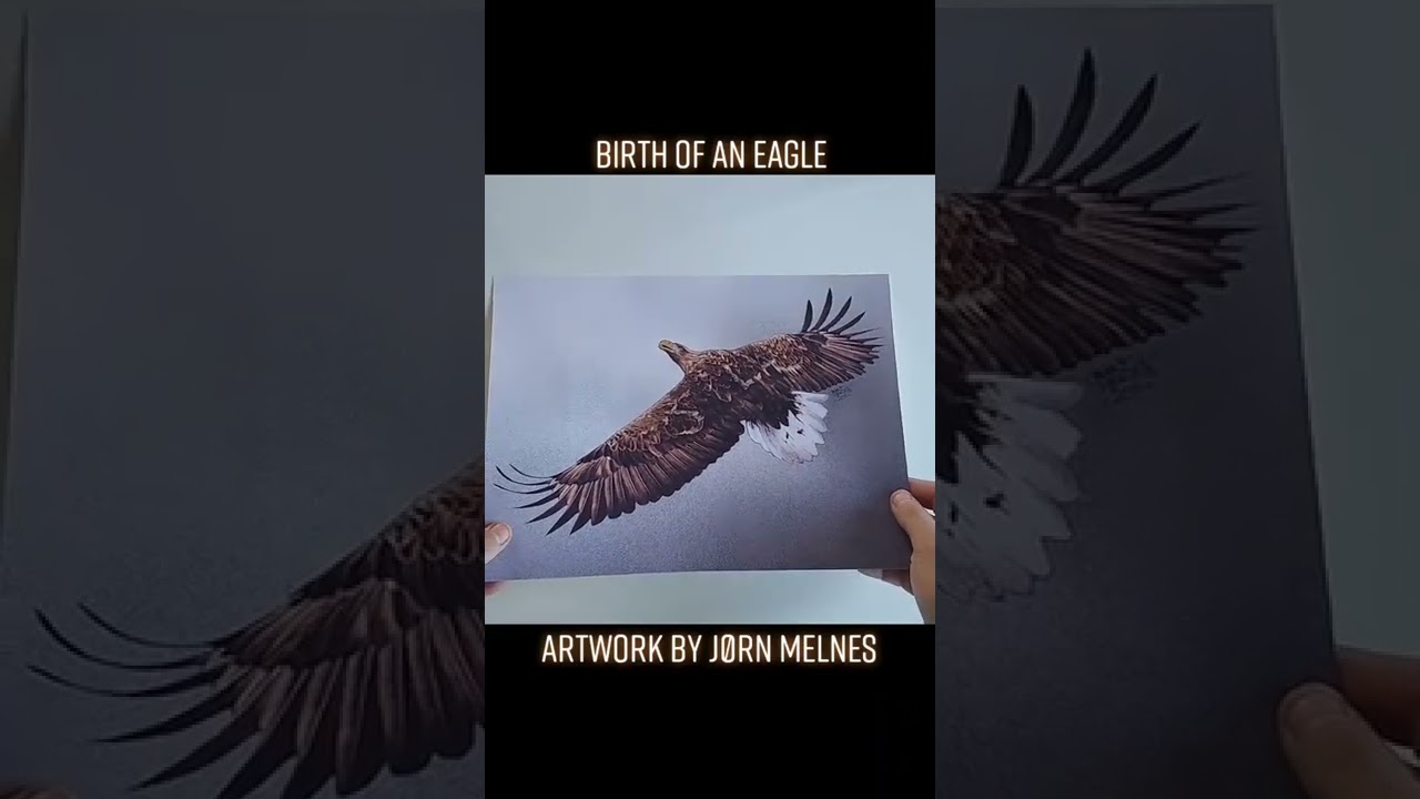 Eagle fly free! How to draw an eagle / hvordan tegne en ørn 🦅 #drawing #eagle