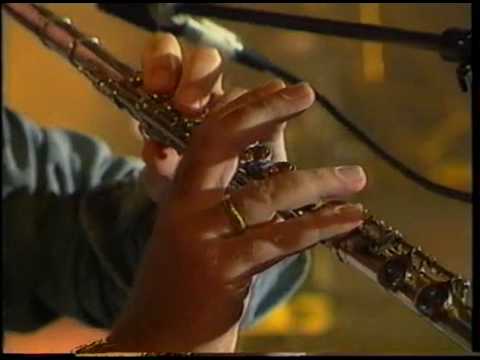 Focus Live 1990 - House of the King