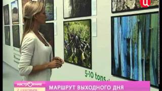 90-шы жылдардағы жыныстық азғындық