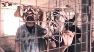 Video Janko Kulich & Kolegium: Vŕ haf haf  OFFICIAL VIDEO 2014