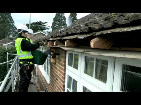 The Fascia Division video.