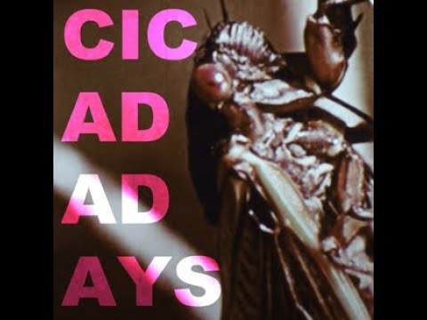 Will Wood - Cicada Days (KARAOKE!)