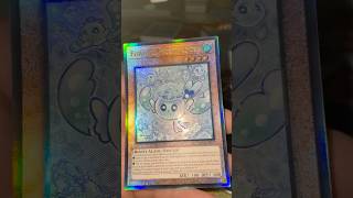 Fuwalos multivadora Ultimate Rare asian style RAR04-SP050
