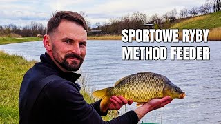 Sportowe karpie i piękna wzdręga na Method Feeder! Kanał Wylotowy Jeziora Tarnobrzeskiego.