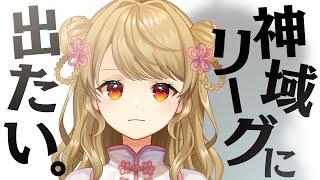 #神域リーグ2023 監督及び関係者の皆様へ