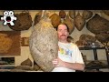 The Strangest Collections In The World
