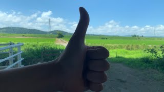 【一生のお願い】お別れのワルツって歌きいてください。概要欄にURLも載せますから