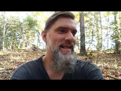 I recommend Transylvania Twist 1989