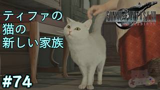 【FF7リバース】平和なニブルヘイムの猫探し。※最後におまけ（放送事故）があります #74