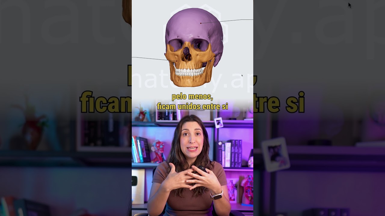 REVIEWING THE BONES OF THE SKULL AND SUTURES 💀