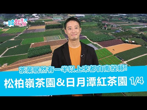 ``Taiwan Travel Notebook'' Há mais de uma folha e meia de chá em Taiwan! -Songbailing Tea Garden, Mingmen Town e Sun Moon Lake Tea District, Yuchi Town (proprietários: Hitoshi Sato/Mariko Okubo) A maior área de jardim de chá em Taiwan, Songbaoling Tea Garden & Tea Garden nas margens do Sun Moon Lake -1