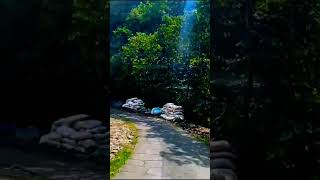 Download lagu luka hati luka diri #shorts #viral mp3