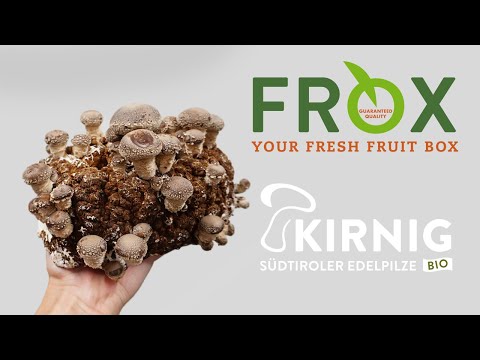 Interview Kirnig Edelpilze/Funghi pregiati - Frox