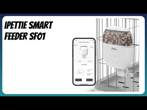 REVIEW (2025): iPettie Smart Feeder SF01. Features
