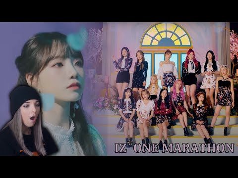 First Reaction To IZ*ONE ll La Vie en Rose l Violeta l FIESTA l Secret Story of the Swan l Panorama