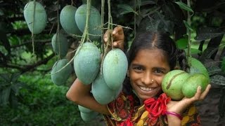 Video World production in the world and mango name of the world