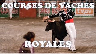 preview picture of video 'Master des Courses de Vaches Royales 2013'