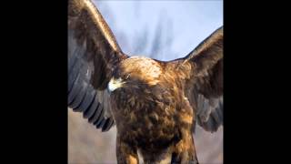 laisse moi ma liberter