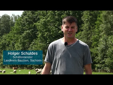Wölfe ohne Grenzen - Klartext Holger Schuldes