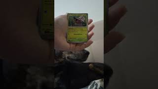 #pokemon #pokemonchannel #pokemoncards #tcgpokemon #cards #tcgpokemon #pokemontcg