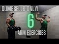 Arm Exercises Dumbbells Only For Full Arm Workout! Home Gym Workouts With BADDER