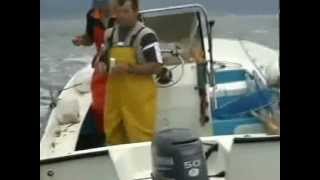 preview picture of video 'Concurso de pesca Porto do Son II - agosto 07'