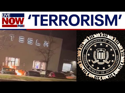 Video | Tesla targeted: Vandalism in 9+ states linked to 'political grievances' | LiveNOW from FOX