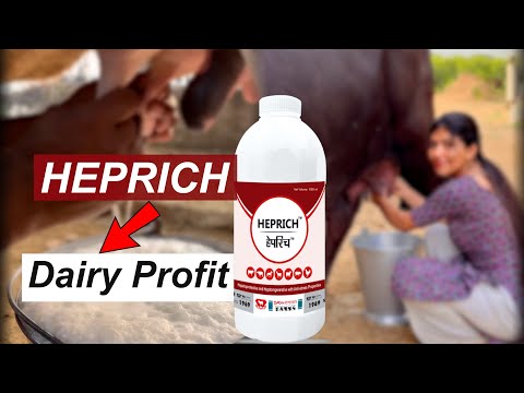 Heprich - YouTube video