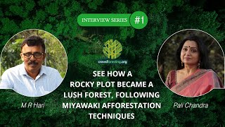 See How A Rocky Plot Became A Lush Forest