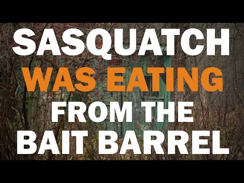 BIGFOOT ENCOUNTER IN THE UPPER PENINSULA OF MICHIGAN | THAT WAS NO BEAR EATING THE BAIT BARREL!!!