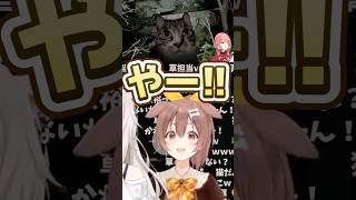 いいタイミングでびっくりしたころさん #戌神ころね #獅白ぼたん #鷹嶺ルイ