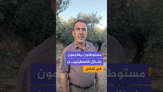 مستوطنون يهاجمون منازل فلسطينيين في جبل بئر قوزا على أطراف بلدة بيتا جنوب نابلس