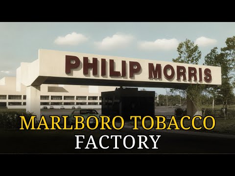 Inside the Marlboro Factory: Why Philip Morris Put All 146 Billion Cigarettes in One Place
