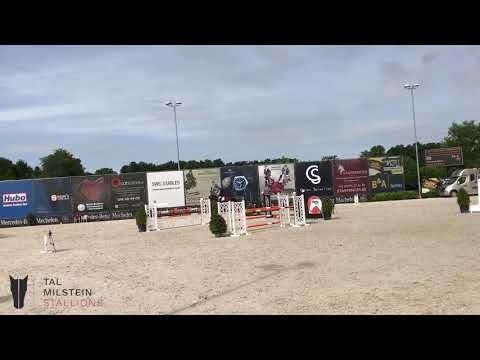 LUIGI D'ECLIPSE Z 2* Bonheiden Day 2