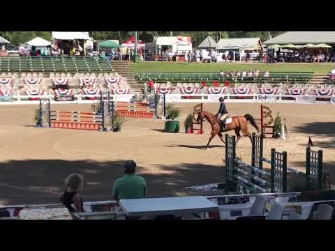 1.15m High Ch/Ad Jumper Classic | Annemarie Radish-Jones