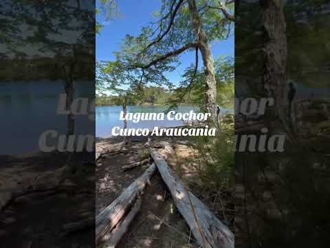 Trekking Laguna Cochor, Cunco - Araucanía 🍃
