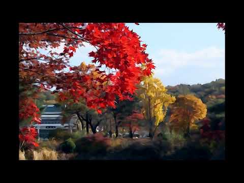 The Happy Wanderer (1954) - Frank Weir and His Saxophone, Chorus and Orchestra