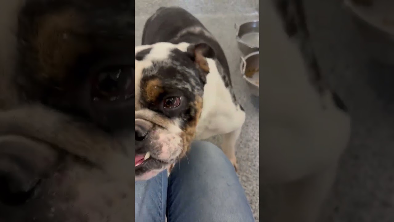 This Poor Boy video