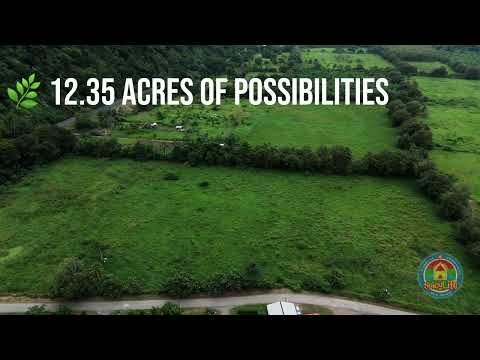12.35 Acres of Commercial Land in Osa, Puntarenas
