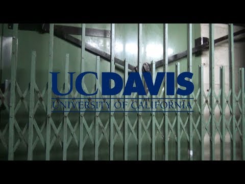 Gated Freight! OTIS Hydraulic Freight Elevator-Haring Hall-UCD-Davis, CA