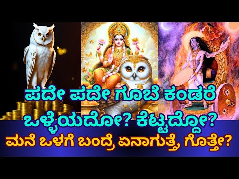 Owl Facts | ಗೂಬೆ ಕಂಡರೆ ಒಳ್ಳೆಯದೋ? ಕೆಟ್ಟದ್ದೋ? ಮನೆ ಒಳಗೆ ಬಂದ್ರೆ ಏನಾಗುತ್ತೆ, ಗೊತ್ತೇ? | Dheerajkumar Sirsi