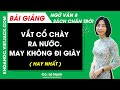 Vắt cổ chày ra nước. May không đi giày Ngữ văn lớp 8 Chân trời sáng tạo